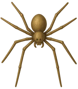 long-legged spider
